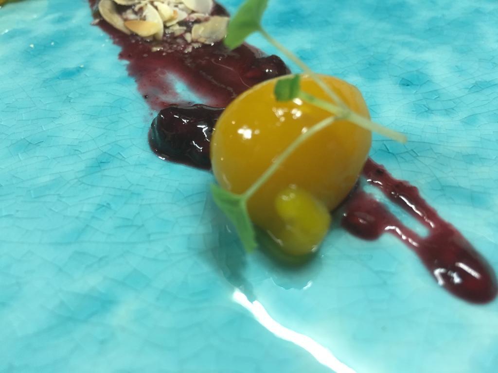 De Rozenstruik Hotel Ootmarsum Kültér fotó